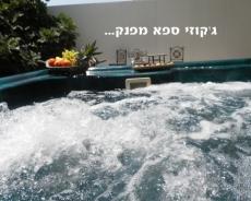 החצר והבריכה - וילת הברון