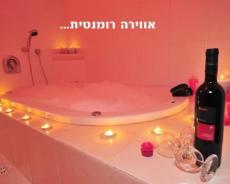 כללי - וילת הברון
