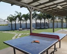 The yard & The pool - Villa Shemer